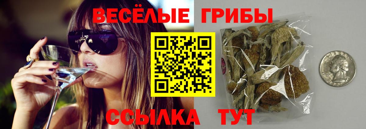 Псилоцибиновые грибы Psilocybine cubensis Кудымкар